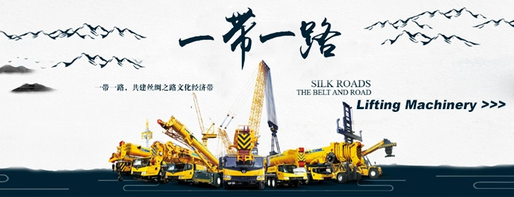 China Zoomlion Xugong Sunny 10t 12t 16t 20t 25t 30t 50t 55t 60t 80t 100t Hydraulic Mobile Truck Crane 8 10 12 16 20 25 30 35 50 55 60 80 100 Ton Crane for Sale