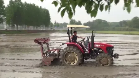 Wd 110HP Small Tractor Farm Tractor for Farm in Good Price 