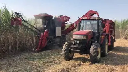 Hot Selling Hydrostatic Drive Cutting Sugarcane Harvester 