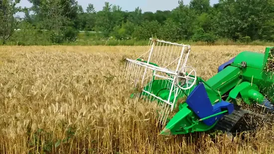 Acme Factory Wheat Harvester Paddy Rice Combine Harvester Harvesting Machine
