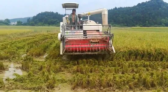 Agricultural Paddy Rice Mini Combine Harvester Machine Model 4lz