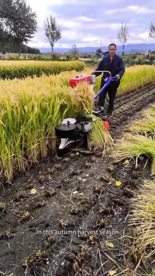 Diesel Lawn Mower Binder Machine Maize Reaper Binder Machine Reaper Binder Grain Harvester 